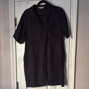 Everlane linen shirt dress